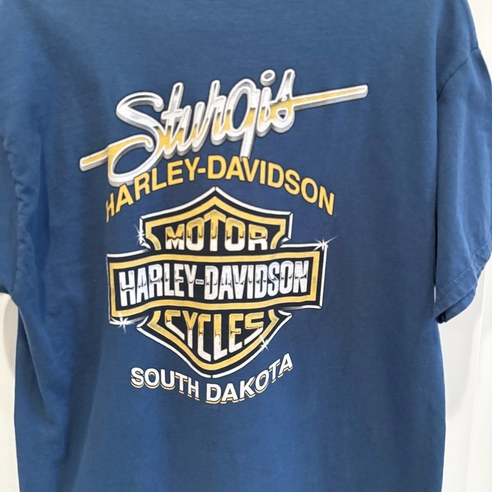 Harley-Davidson Black Hills Rally Sturgis 70th Anniversary 2010 Blue Graphic L - Picture 8 of 11